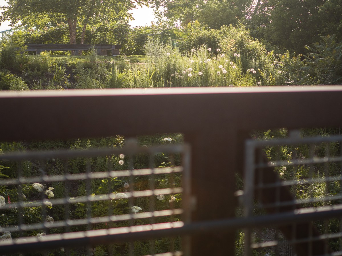 Allison and Rob-1000333