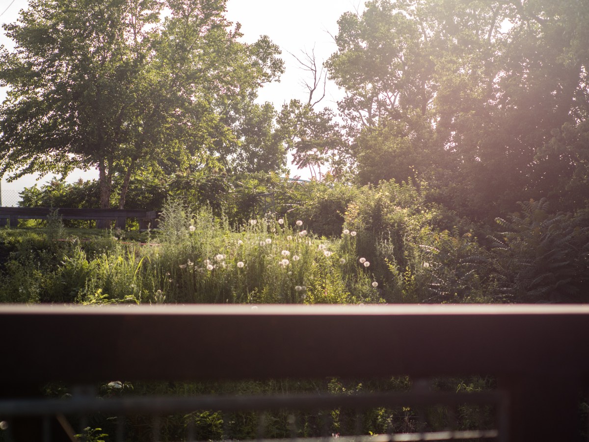 Allison and Rob-1000334