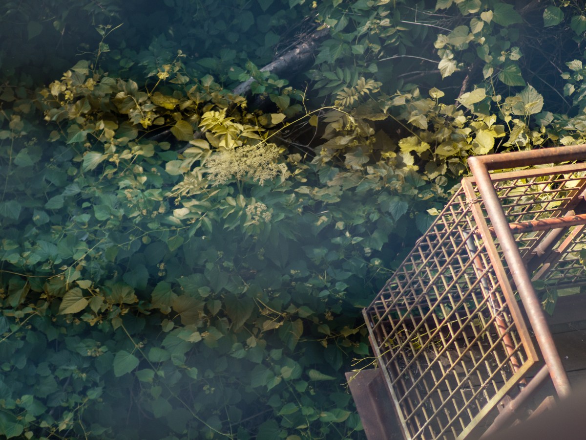 Allison and Rob-1000359