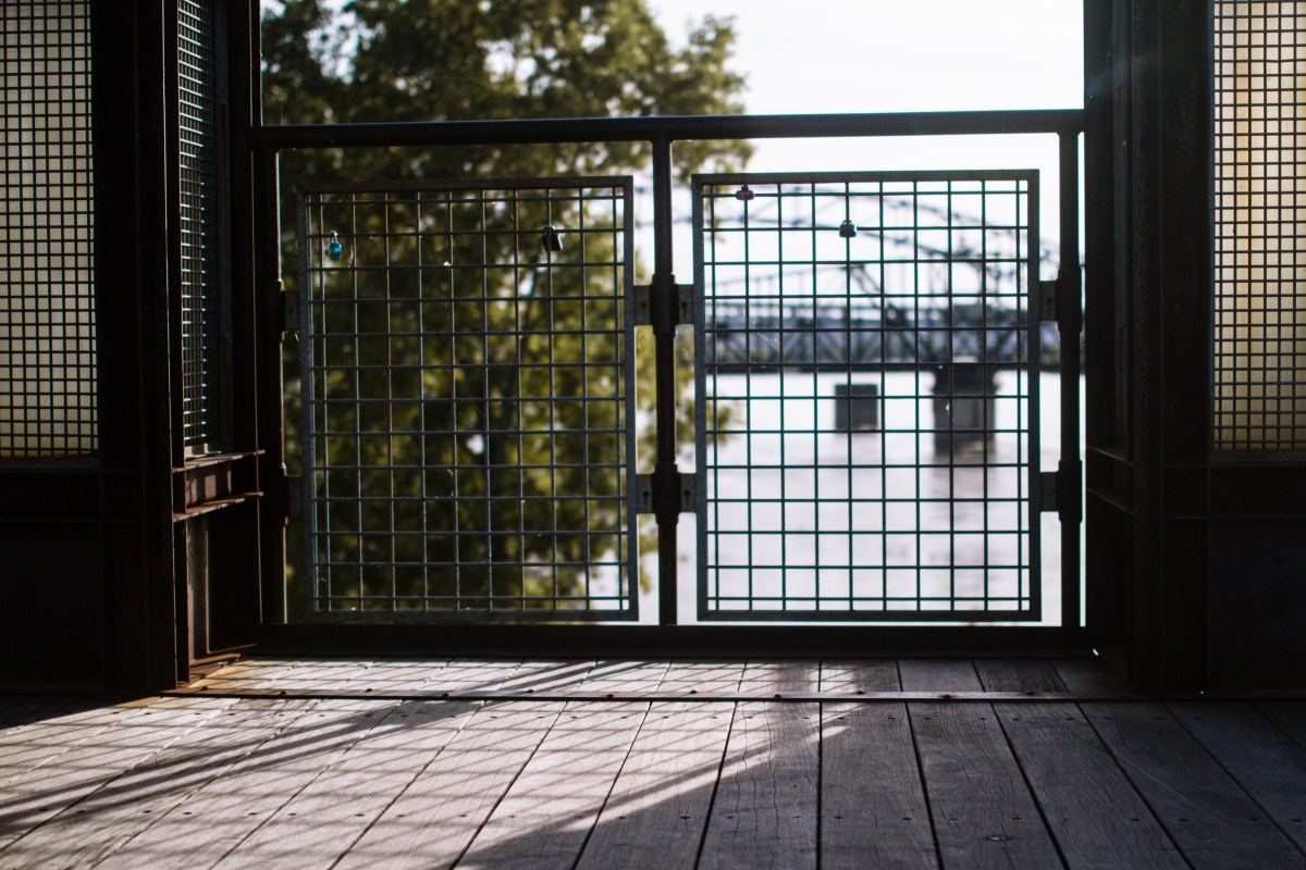 Allison and Rob-6669